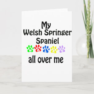 Welsh Springer Spaniel Walks Design Holiday Card