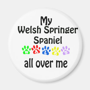Welsh Springer Spaniel Walks Design Magnet