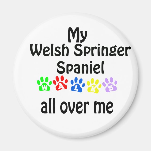 Welsh Springer Spaniel Walks Design Magnet (Front)
