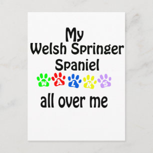 Welsh Springer Spaniel Walks Design Postcard