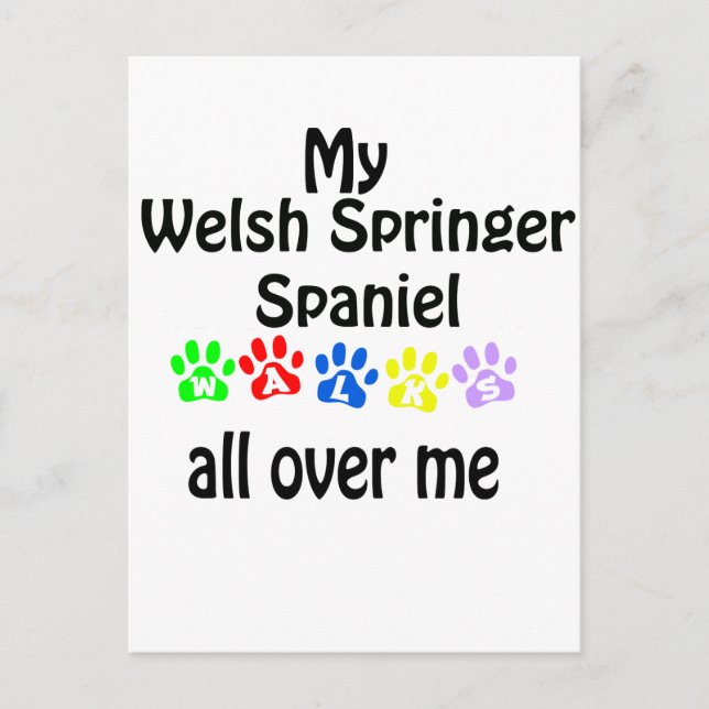 Welsh Springer Spaniel Walks Design Postcard (Front)