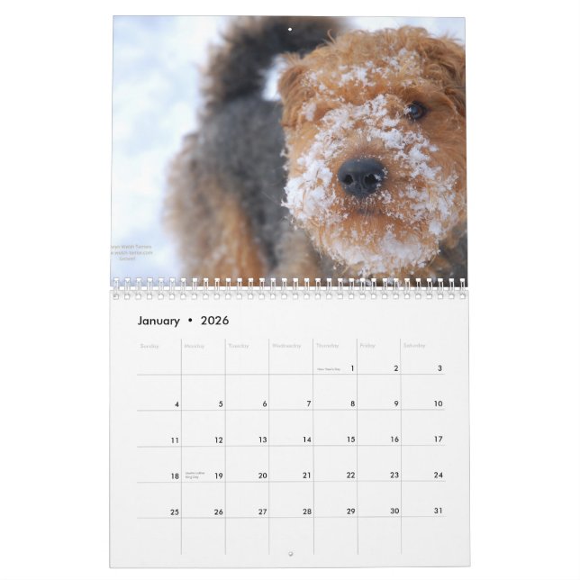 Welsh Terrier 2012 Calendar by Darwyn (Jan 2026)