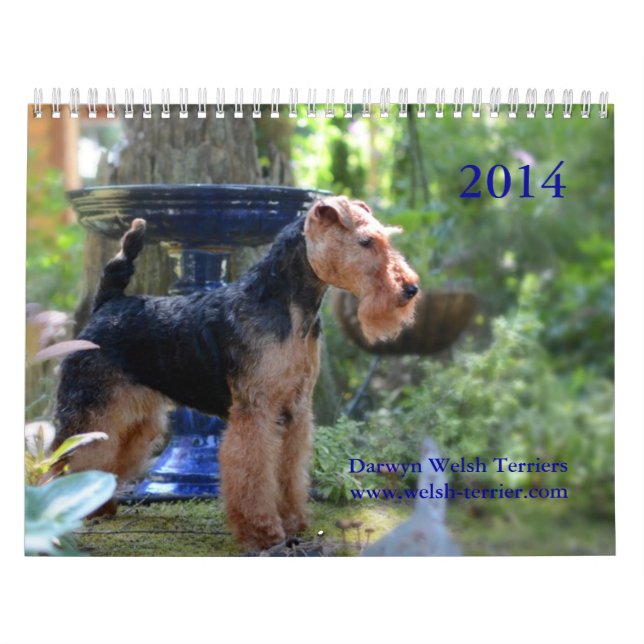 Welsh Terrier 2014 Calendar by Darwyn (Cover)