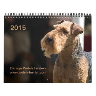 Welsh Terrier 2015 Calendar by Darwyn