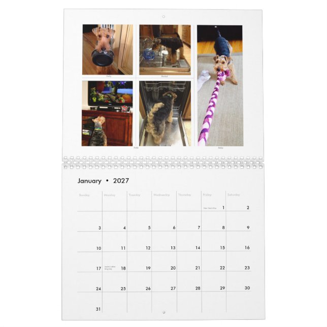 Welsh Terrier 2015 Calendar by SBWT (Jan 2027)
