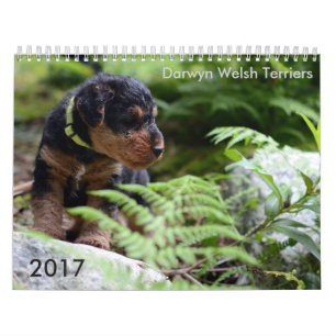 Welsh Terrier 2017 Calendar by Darwyn