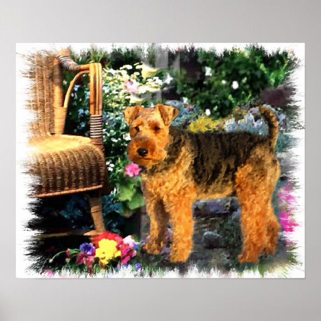 Welsh Terrier Art Print (Front)