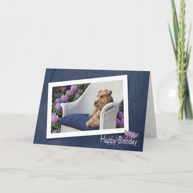 Welsh Terrier birthday Card (Front)