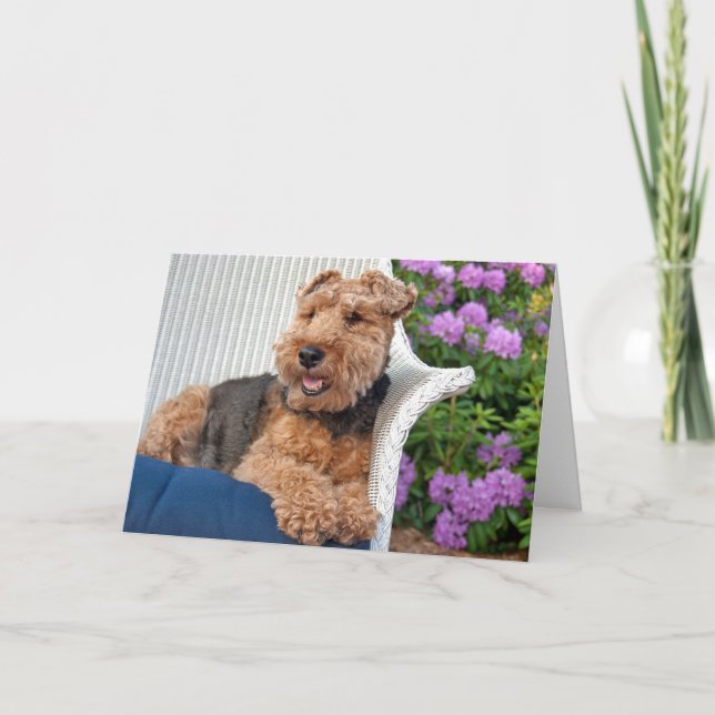 Welsh Terrier Birthday Card (Front)
