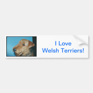 Welsh Terrier Bumper Sticker