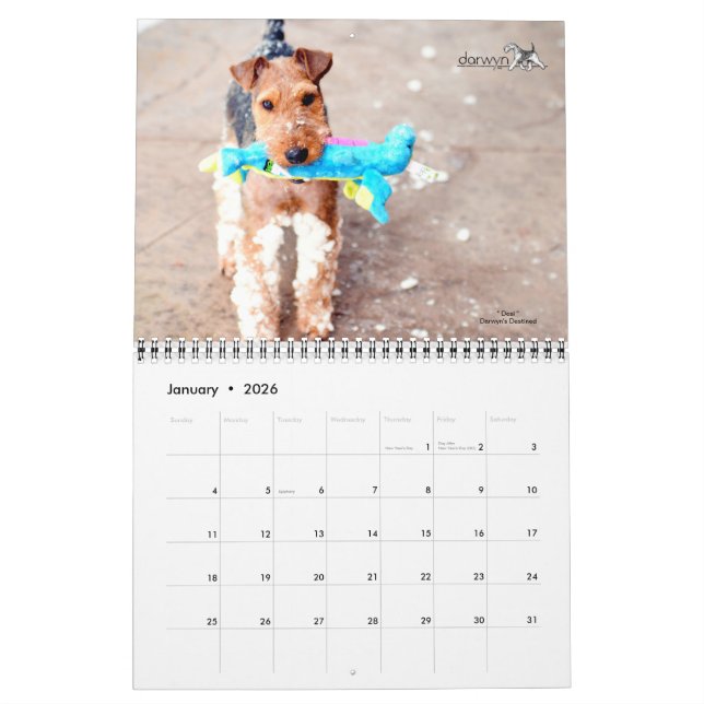 Welsh Terrier Calendar (Jan 2026)