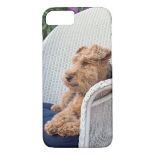 Welsh Terrier iPhone 8/7 Case