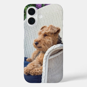 Welsh Terrier iPhone 16 Case