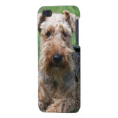 Welsh terrier dog beautiful photo iphone 4 case (Back Left)
