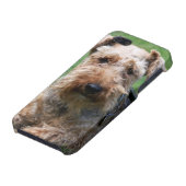 Welsh terrier dog beautiful photo iphone 4 case (Bottom)