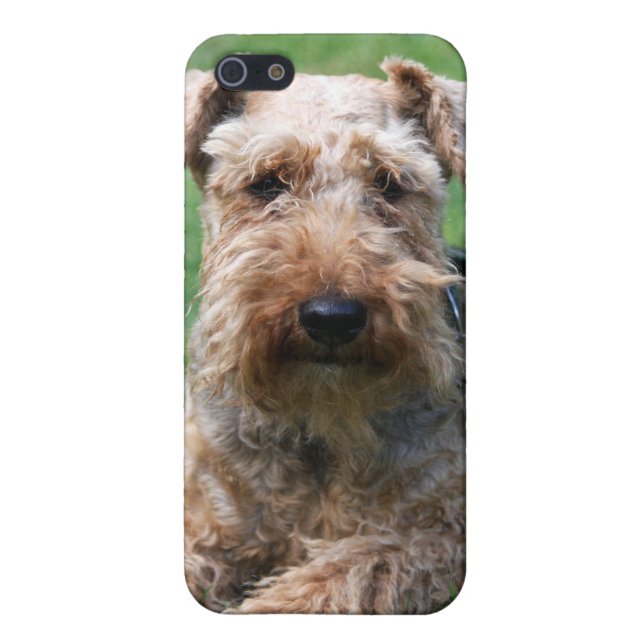 Welsh terrier dog beautiful photo iphone 4 case (Back)