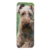 Welsh terrier dog beautiful photo iphone 4 case (Back Right)