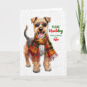 Welsh Terrier Dog Funny Fleas Navidog with Name Holiday Card