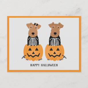 Welsh Terrier Halloween Skeleton Holiday Postcard