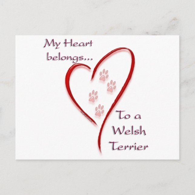 Welsh Terrier Heart Belongs Postcard (Front)