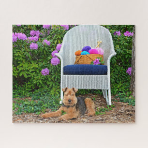 Welsh Terrier In Garden Jigsaw Puzzle