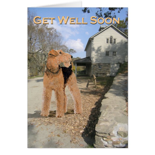 Welsh Terrier in the Stable Yard (Front)