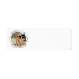Welsh Terrier in the Stable Yard Return Address Label