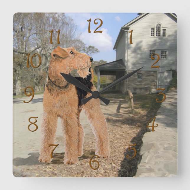 Welsh Terrier in the Stable Yard Square Wall Clock (Front)