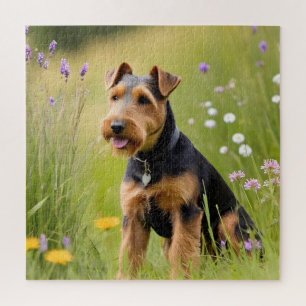 Welsh Terrier In Wildflower Meadow Jigsaw Puzzle