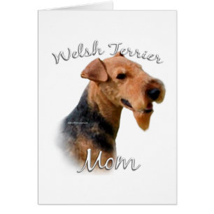 Welsh Terrier Mum 2
