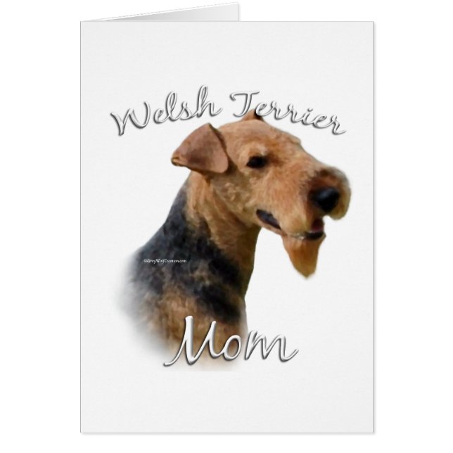 Welsh Terrier Mum 2 (Front)