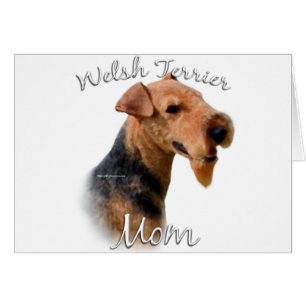 Welsh Terrier Mum 2
