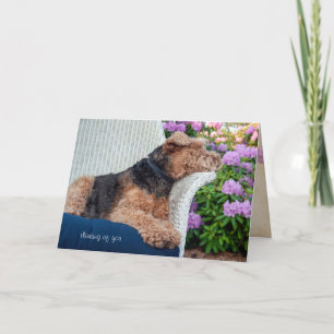 Welsh Terrier on wicker chair Card