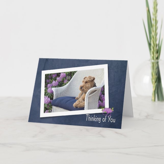 Welsh Terrier thinking of you Card (Front)
