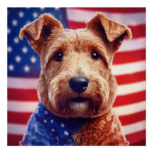 Welsh Terrier With American Flag And Bandanna Poster