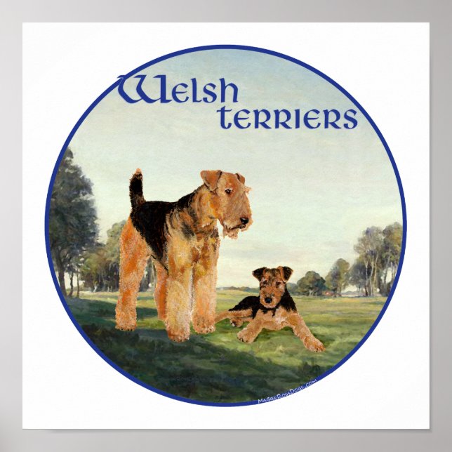 Welsh Terriers Poster (Front)