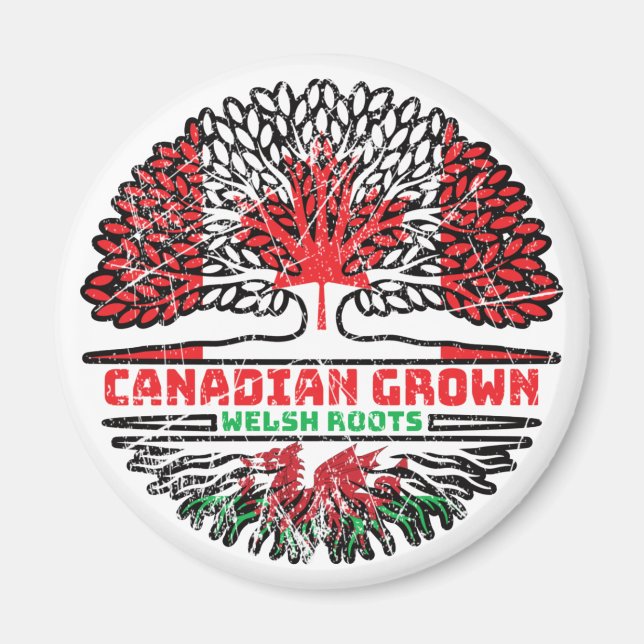 Welsh Wales Canadian Canada Tree Roots Flag Magnet (Front)