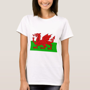 Welsh / Wales Flag - Cymru High Quality Image T-Shirt