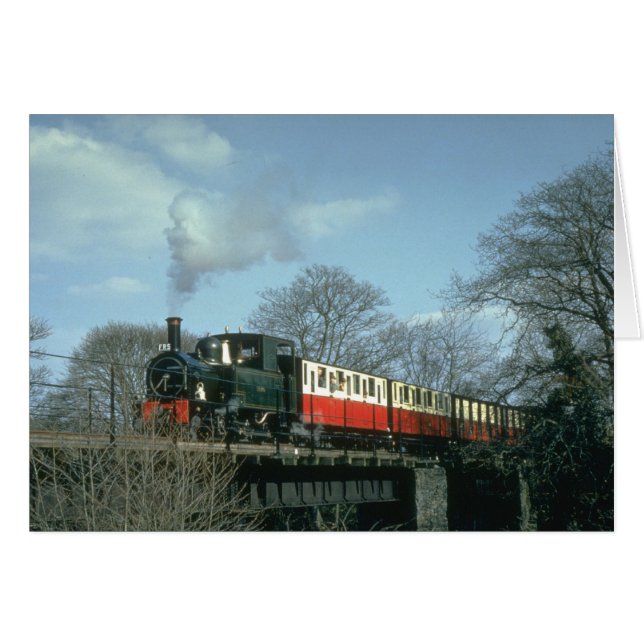 Welshpool & Llanfair Railway's The Earl crosses th (Front Horizontal)
