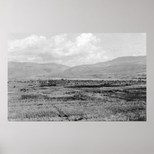 Wenatchee, WA Town View and Orchard Photograph Poster