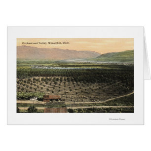 Wenatchee, WashingtonAerial View of an Orchard