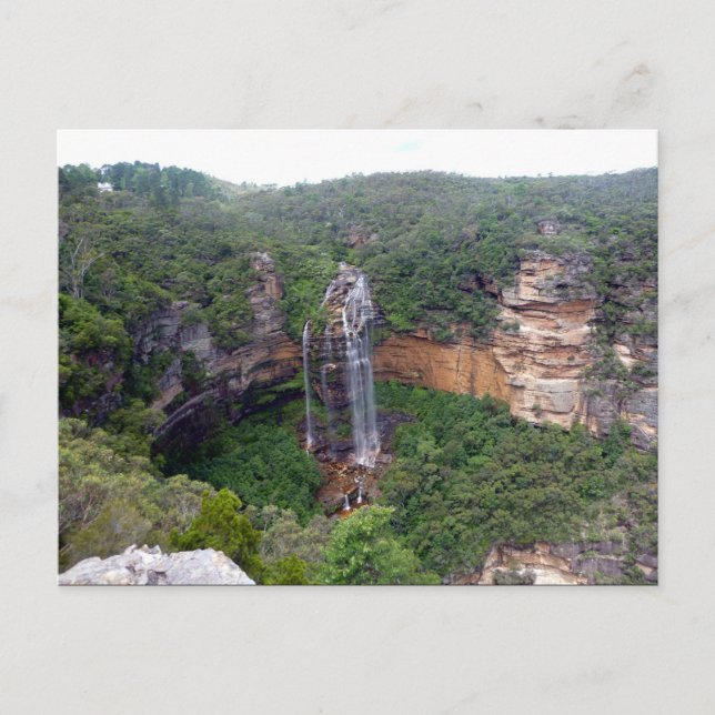 wentworth falls view postcard (Front)