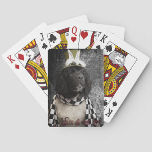 We're all mad here playing cards