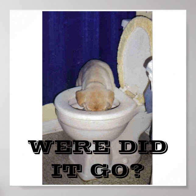 WERE DID IT GO? POSTER (Front)