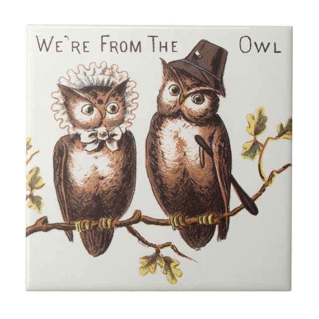 We're from the Owl Country: Chromolithograph Art Ceramic Tile (Front)