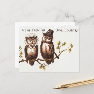 We're from the Owl Country: Chromolithograph Art Postcard