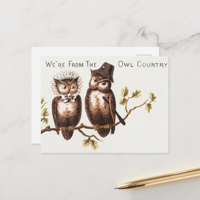 We're from the Owl Country: Chromolithograph Art Postcard (Front/Back In Situ)