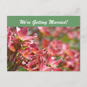 We're Getting Married! postcards Save the Date
