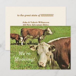 We're Mooving! Announcement