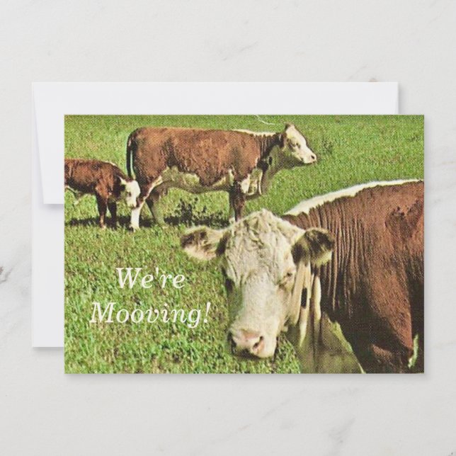 We're Mooving! Announcement (Front)